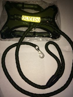 3 Dog Harness and 3 leashes lot
