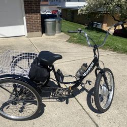 Electric Trike 36v 750w