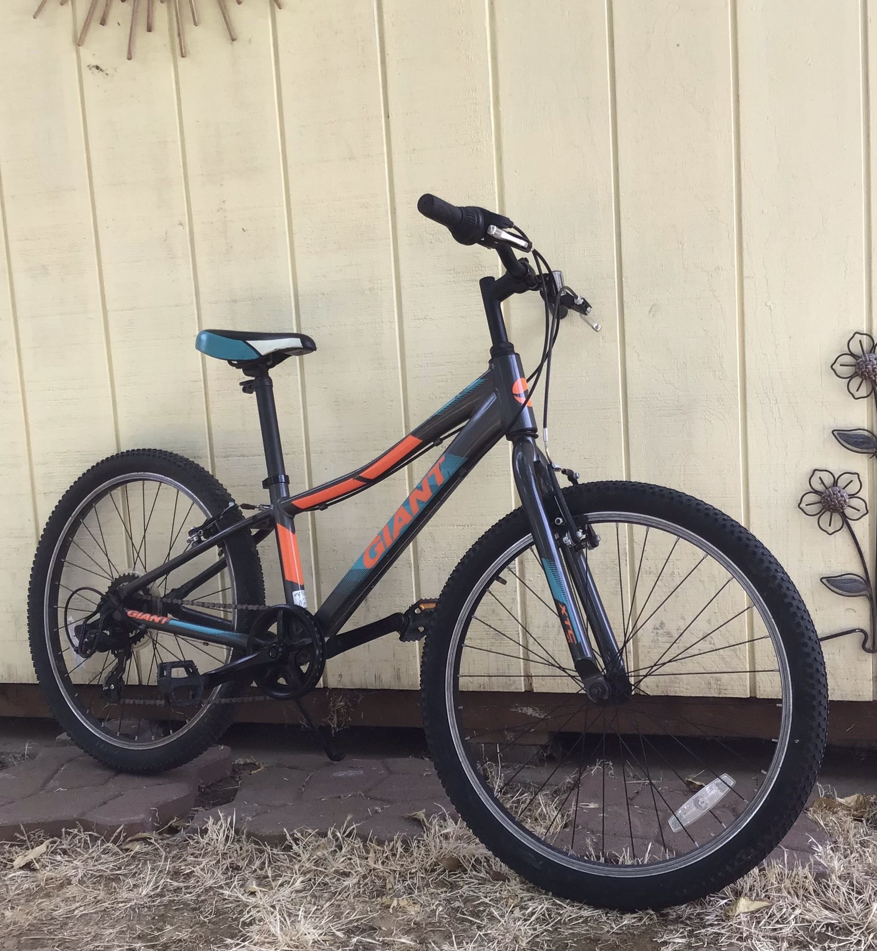 Giant 7sp. mountain Bicycle