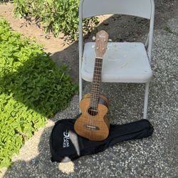Beautiful 😻 Oscar Schmidt by Washburn OU7T Spalted Mango Tenor Ukulele, Case,