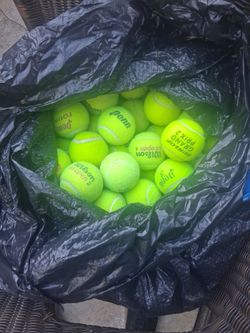 tennis balls for $20, chairs, t-ball, dogs