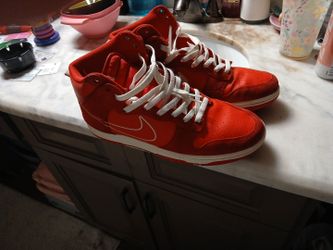 Nike Dunk High SE"First Use"