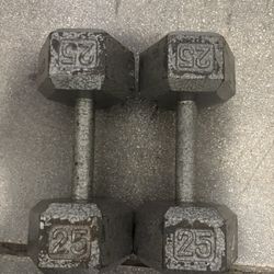 25 Lbs Dumbbells 