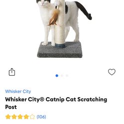 Whisker City Catnip Cat Scratching Post