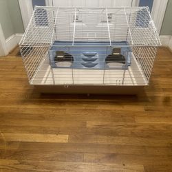 Guinea Pig Cage