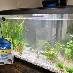 5 Gallon Tank with Supplies 