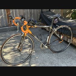 Giant TCR Zero (medium Frame)