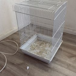Bird Cage 