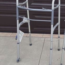 Deluxe Walker 