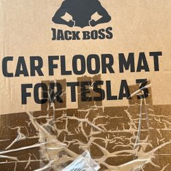 Tesla Car Mats