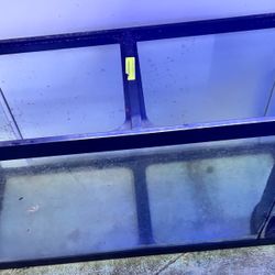 75 Gallon Aquarium With Overflow