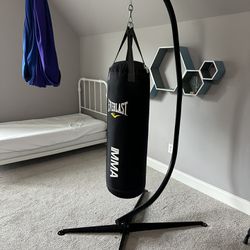 Punching Bag On C Stand