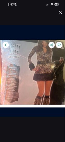 Pretty Kitty Costume