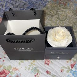 Preserved White Rose , Perfect For A Gift 