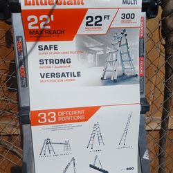Standard 22 Ft Ladder 