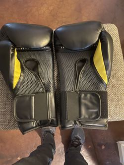Everlast Boxing Gloves
