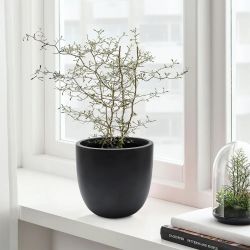 Essentia indoor/outdoor planter, round, small ，H033-B