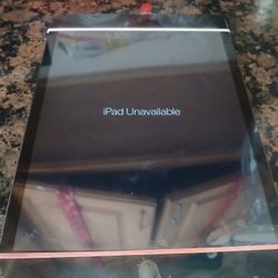 Apple IPAD
