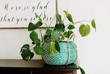 Modern Village Designer Plant Basket and Throw Blanket Basket (Teal)