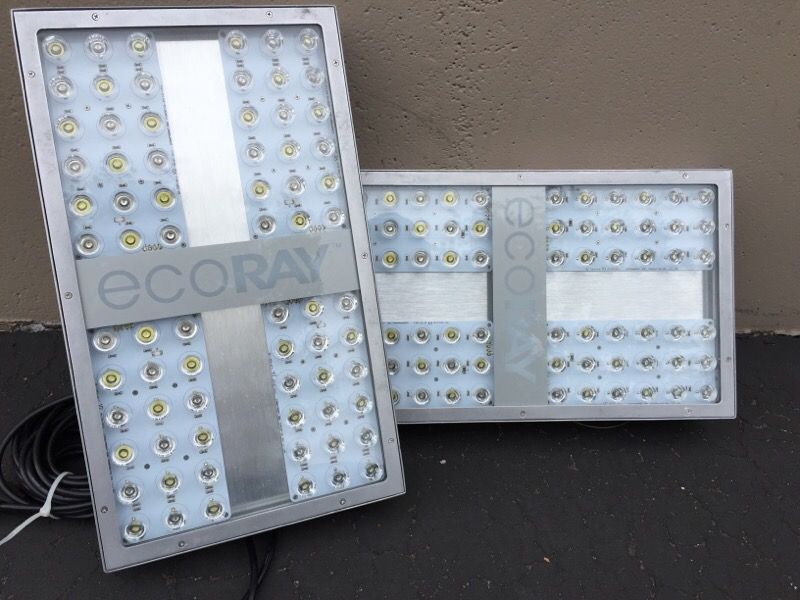 Ecoray 72DX LED reef lights