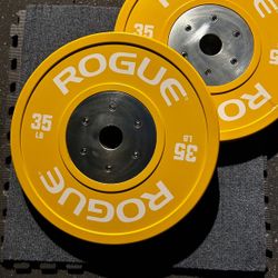 Rogue Fitness Colored Plates (70LBs)