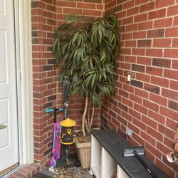 Artificial Tree Richmond Tx 77407