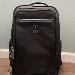 Travel Pro Backpack & Amazon Basics Briefcase