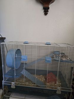 Hamster w/ cage