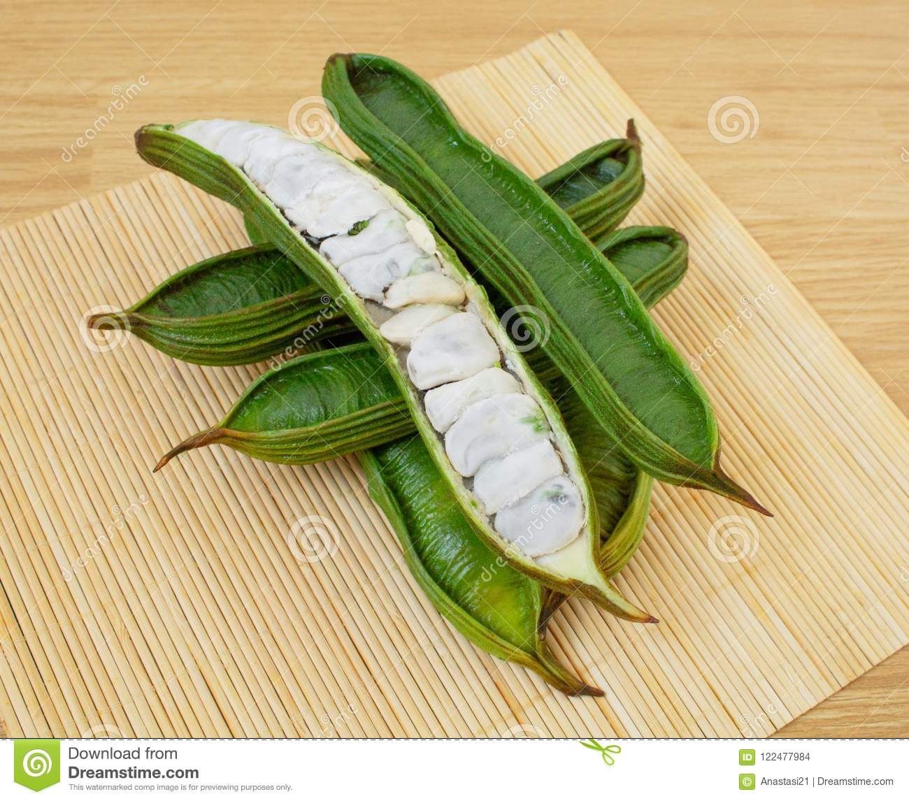 Vanilla Ice Cream Bean Tree for Sale in Port St. Lucie, FL OfferUp