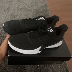 Brand New Mamba Focus Nikes