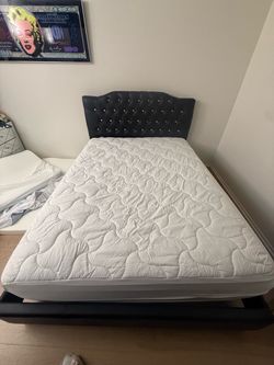 Queen bed + mattress