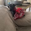 Bella’s Momma