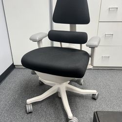 Anthros Chair - Office Desk Ergonomic Adjustable Pelvis Back Posture Support