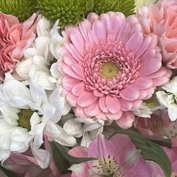 50% Half Off Everything! 