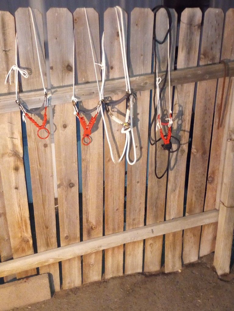 Se Vende Bosales Para Caballos 