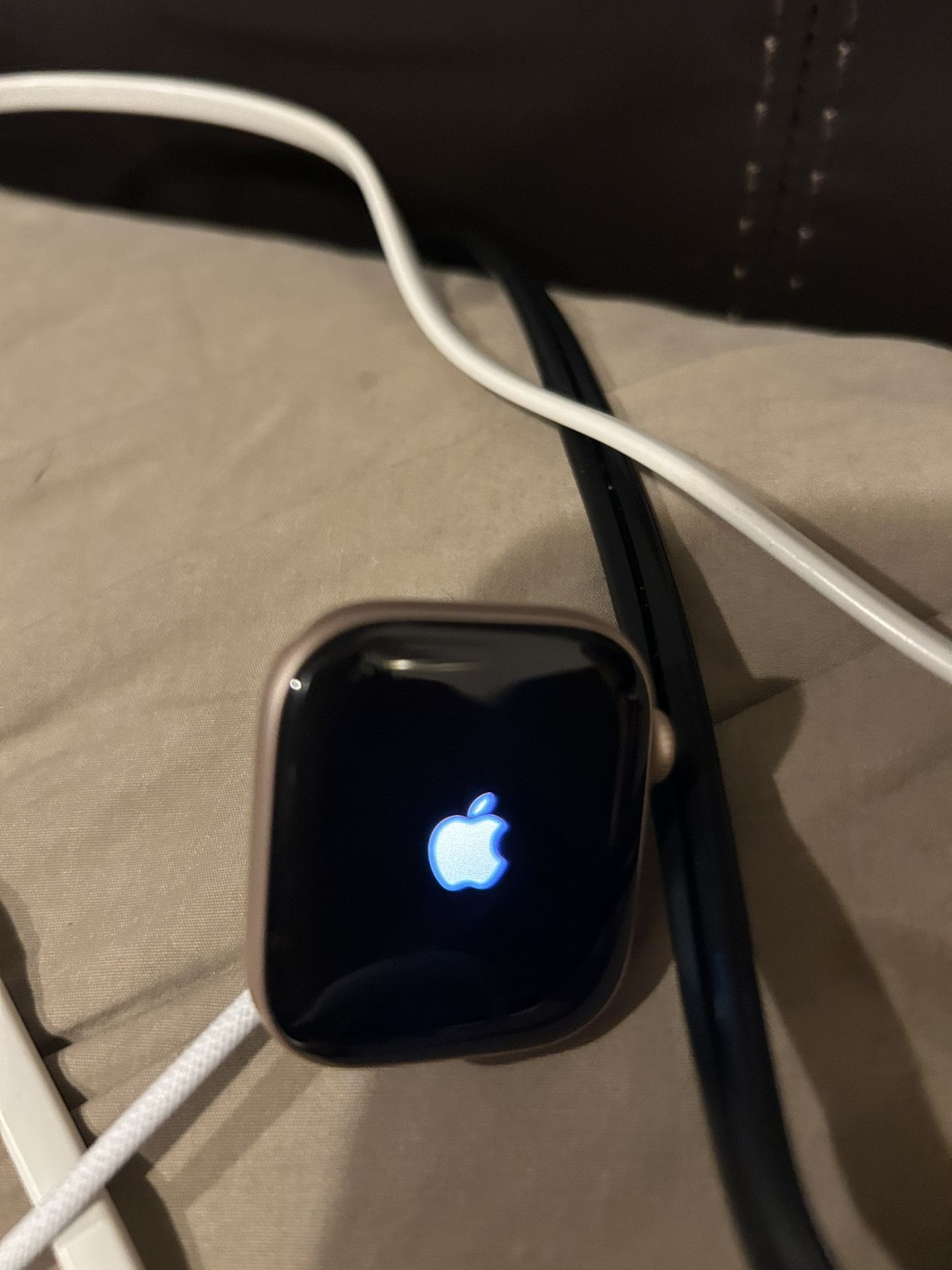 Apple Watch Hermes Series 11 