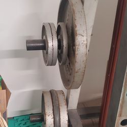 Squat rack and bench + weights 