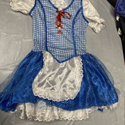 The Wizard Of Oz Dorothy Halloween Costume.
