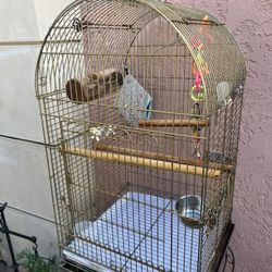Jaula Grande  Para Pericos 