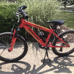 20” Nishiki Bike 