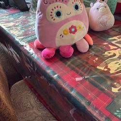 Squishmallows , five dollars small ones then for the big ones there’s 50 of them to pick from