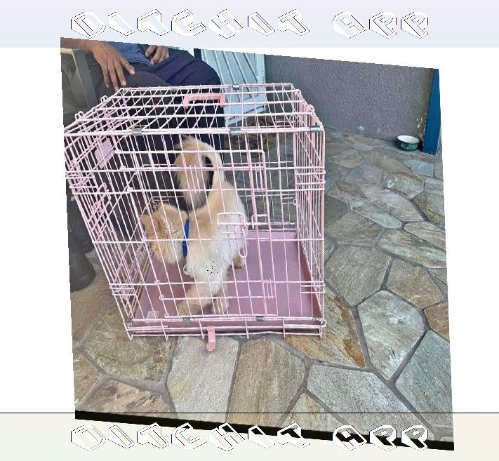 Solid Metal Dog Crates - Trustworthy and Safe take employee