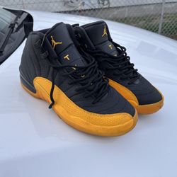 University Gold 12s