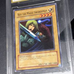 Neo The Magic Swordsman