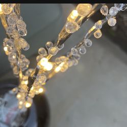 Home and garden outdoor LED lights