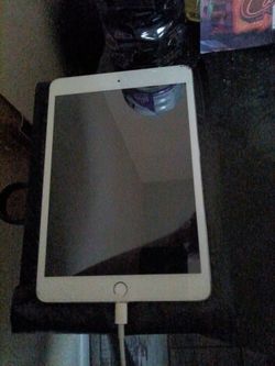 iPad mini