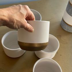 Small Plant Pot Or Vase