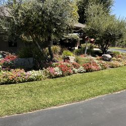 Ayudante de Jardineria