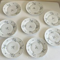 Set Of 8 Vintage Bernaurdaud Limoges Porcelain China Nicole Discontinued! 