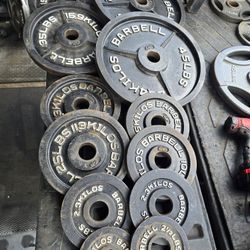 Weight Olympic Plates
